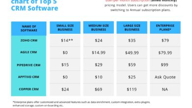 CRM Software for Small Business Cost